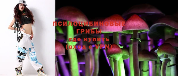 PSILOCYBIN Абдулино