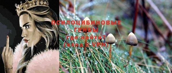 PSILOCYBIN Абдулино