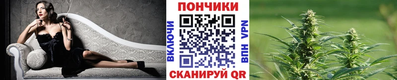 где можно купить   Королёв  Каннабис VHQ 